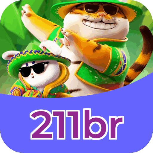 211br